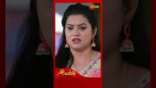 Sevanthi  shorts  Udaya TV  Kannada Serial [upl. by Charry188]