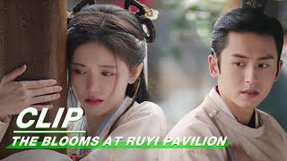 Clip Zhang Zhehan Treats Ju Jingyi‘s Foot  The Blooms At RUYI Pavilion EP09  如意芳霏  iQIYI [upl. by Schmidt]