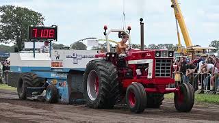 International 1466 Tractor Pulling at Historic Tractor Show Panningen 2023 Almost Full Pull [upl. by Moe]