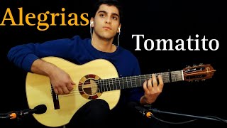 ALEGRÍAS Tomatito  Ehsan Soleimani cover [upl. by Harehs]