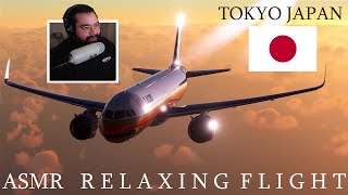 ASMR Relaxing Sunset Flight Flight Simulator [upl. by Introk]