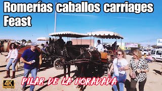 Pilar ce horadada romerias caballos carriages 🥳 pilar de horadada costa cálida Murcia spain [upl. by Raamaj]