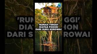 Suku Korowai amp Tradisi Unik Rumah Tinggi Diatas Pohon [upl. by Nicolette]