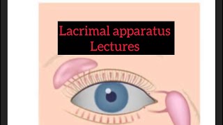 Lacrimal apparatus lectures part 5 Eyelectures eyelectures lacrimalgland jatoi [upl. by Loferski672]