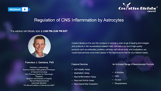 Webinar Regulation of CNS Inflammation by Astrocytes [upl. by Delmer942]