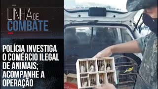 POLÍCIA INVESTIGA O COMÉRCIO ILEGAL DE ANIMAIS ACOMPANHE A OPERAÇÃO  LINHA DE COMBATE [upl. by Marozas]