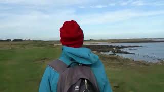 Lower Newton by the Sea to Beadnell circular coastal walk Northumberland – 2nd October 2023 [upl. by Raymonds]