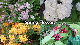 Whats Your Favorite Spring Flowering Shrub  Viburnum Azalea Lilac Calycanthus Weigela [upl. by Yerroc911]