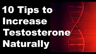 Increase your Testosterone Naturally [upl. by Cathryn]