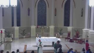 November 5 2024 at 800 am Catholic Mass from St Philip in Vacherie LA [upl. by Mokas]