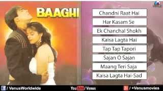 Baaghi Audio Jukebox Salman Khan amp Nagma 1990 [upl. by Greeley]