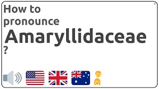 How to pronounce Amaryllidaceae in english [upl. by Capon]