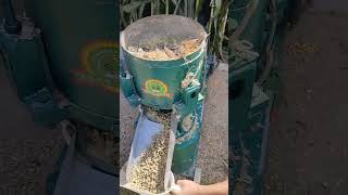 300 type feed pellet machine used for homemade pellet productionSqueezing feed pellets machine [upl. by Damal352]