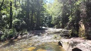 Priomised Land Valery Bellingen NSW 4K [upl. by Mahla]