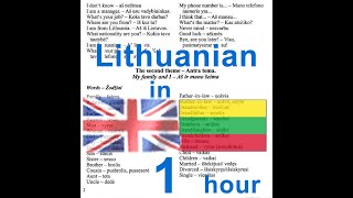 Lithuanian language course Anglų lietuvių kalbos pamokos kursas [upl. by Columbine]