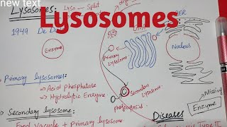 Lysosomes  Glycogensis type 2 disease Taysach disease class 11 biology [upl. by Grof]