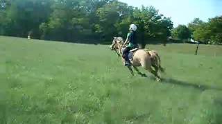 CENTRE ÉQUESTRE ET PONEY CLUB DE LEPINEAU RUFFEC [upl. by Santini994]