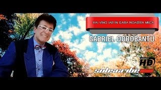 Gabriel Dorobantu  Hai vino iar in gara noastra mica [upl. by Oderfodog]