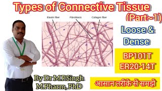 Types of Connective Tissue Part1  Loos and Dense Connective Tissue  Human Anatomy amp Physiology [upl. by Emixam]