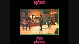 The Buzzcocks  Singles Going Steady Full Album [upl. by Dellora273]