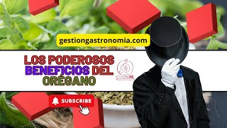 🌿 Los poderosos beneficios del orégano para tu salud 🌱✨ [upl. by Silsby]