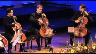 quotthe swanquot for 5 cellos beautiful arrangement [upl. by Rochette]