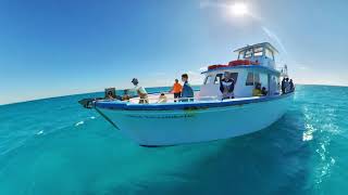 Islamorada fishing charter [upl. by Nailluj]