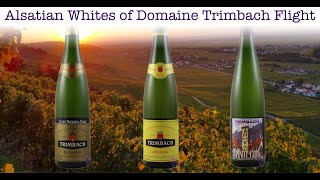 A conversation with Anne Trimbach of Domaine Trimbach [upl. by Merwyn475]