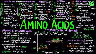 Amino Acids  Macromolecules 01  Biochemistry  PP Notes  Lehninger 6E Ch 31 [upl. by Emersen330]