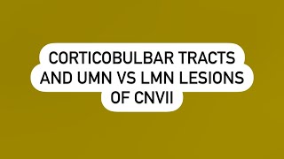 Corticobulbar tract and UMN vs LMN lesions of facial nerve [upl. by Dollar805]