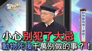 【精華版】小心別犯了大忌 動物死後千萬別做的事？！ [upl. by Eberly]