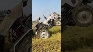 Eicher 333 with full loaded trally  tractor tochan  3630mustangaala [upl. by Carrillo]