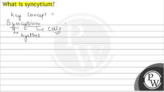 What is syncytium [upl. by Estell]