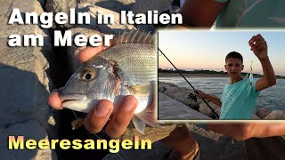 Meeresangeln  Angeln in Italien am Meer mit verschiedenen Ködern und Montagen auf Doraden und Co [upl. by Aynav]