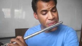 Your Song by Elton John flute cover by Dameon Locklear [upl. by Daukas987]