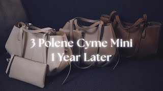 Polene Cyme Mini Update Review Over a Year Later [upl. by Ahsimal]