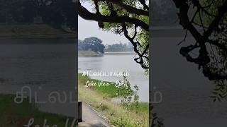 Chitlapakkam Lake ViewEP1 chitlapakkam lake chennai shorts shortsfeed trending [upl. by Rehctaht]