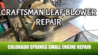 Craftsman Leaf Blower Wont Start Small Engine Repair [upl. by Winnick]