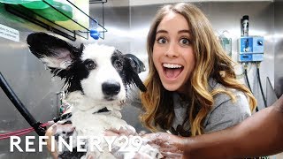 I Learned How To Be A Professional Dog Groomer  Lucie For Hire  Refinery29 [upl. by Pawsner]