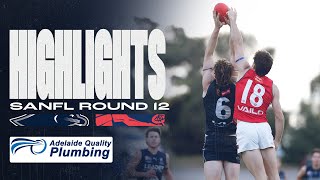 2024 Highlights  SANFL Round 12 v Norwood [upl. by Aphrodite]