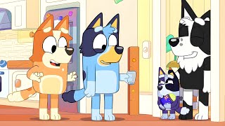 Bluey New Episodes In 2024 Revealed After The Surprise Episode [upl. by Imoyaba]