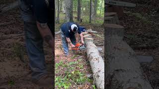 Ported husqvarna 562xp mkll stihl500i chainsaw 2stokelovers chainsawaddict husqvarna572xp [upl. by Ahsrat928]