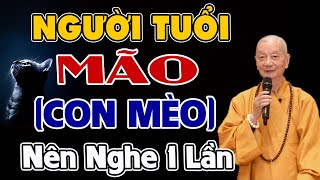 Người Tuổi Mão Con Mèo Nên Nghe 1 Lần Để Biết Vận Mệnh Của Mình Trong Năm 2023  Cực Hay [upl. by Cooper]