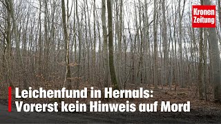 Leichenfund in Wien Vorerst kein Hinweis auf Mord  kronetv NEWS [upl. by Mossberg]