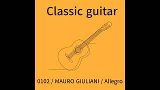 0102  MAURO GIULIANI  Allegro [upl. by Ayikin936]