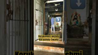 Korukonda Lakshmi Narasimha Swamy shorts trending short [upl. by Ewens798]