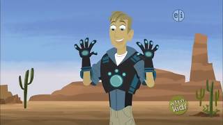 Wild Kratts  CrackVid 3 [upl. by Rednal]