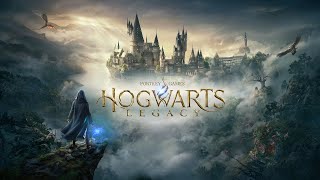 Hogwarts Legacy Walkthrough part 07 [upl. by Pelagi]