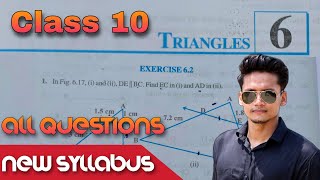 Class 10 Ex62 Q1 to Q10 Triangles Chapter 6 maths NCERT NEW Syllabus CBSE Rajmith [upl. by Tracy]