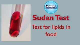 Test for Lipids Sudan Test Food Tests [upl. by Ok]